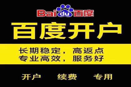 百度竞价托管运营成功案例解析